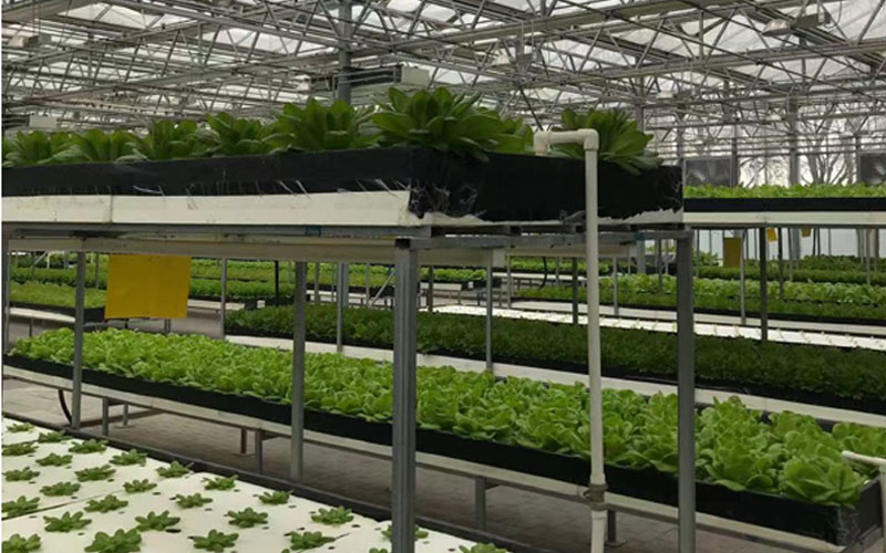 尊凯实业·(中国区)集团公司官网